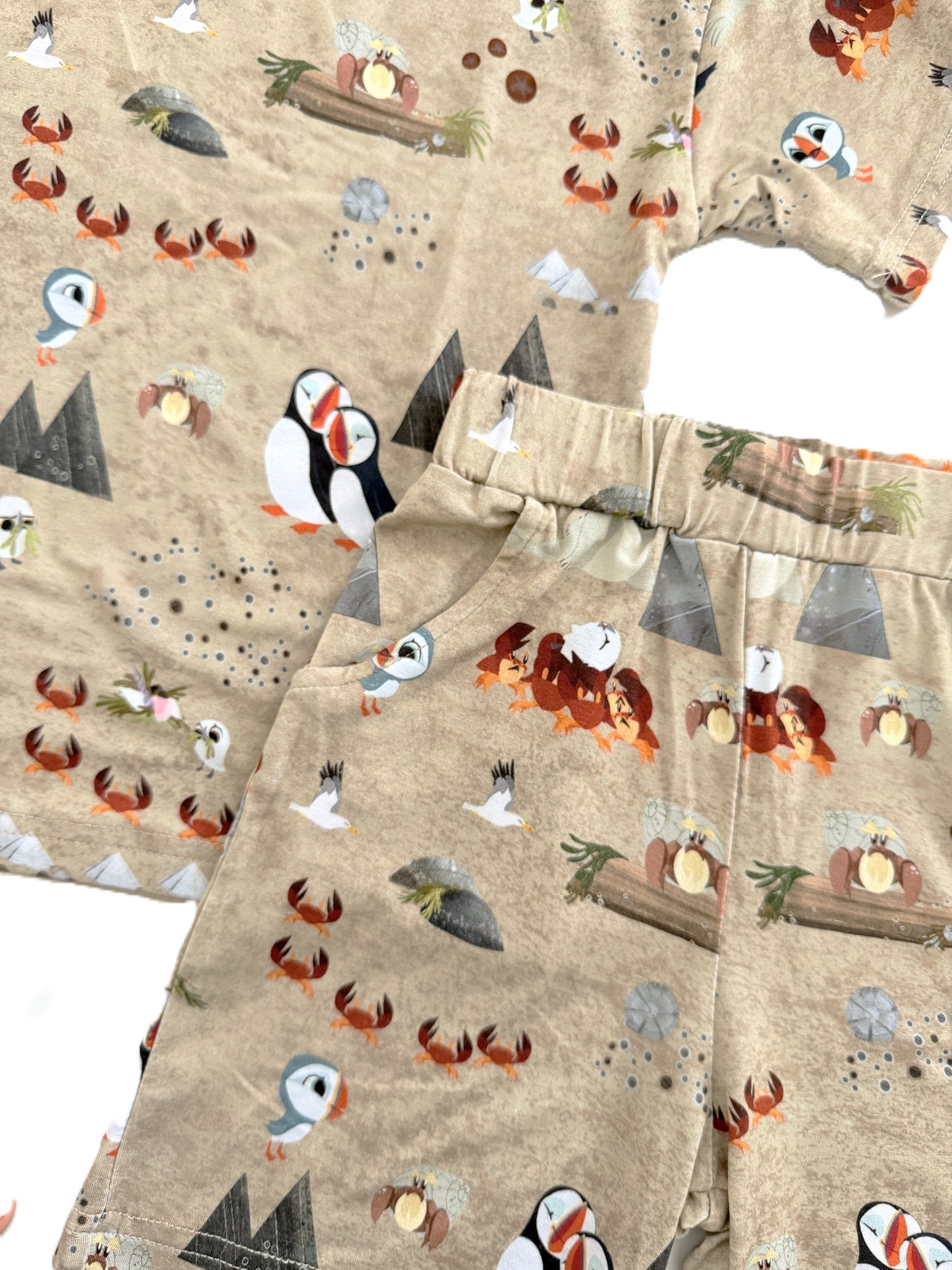 Snuggly Figs™ X Puffin Rock™ - Finding Bearnie - T-Shirt and Short Set