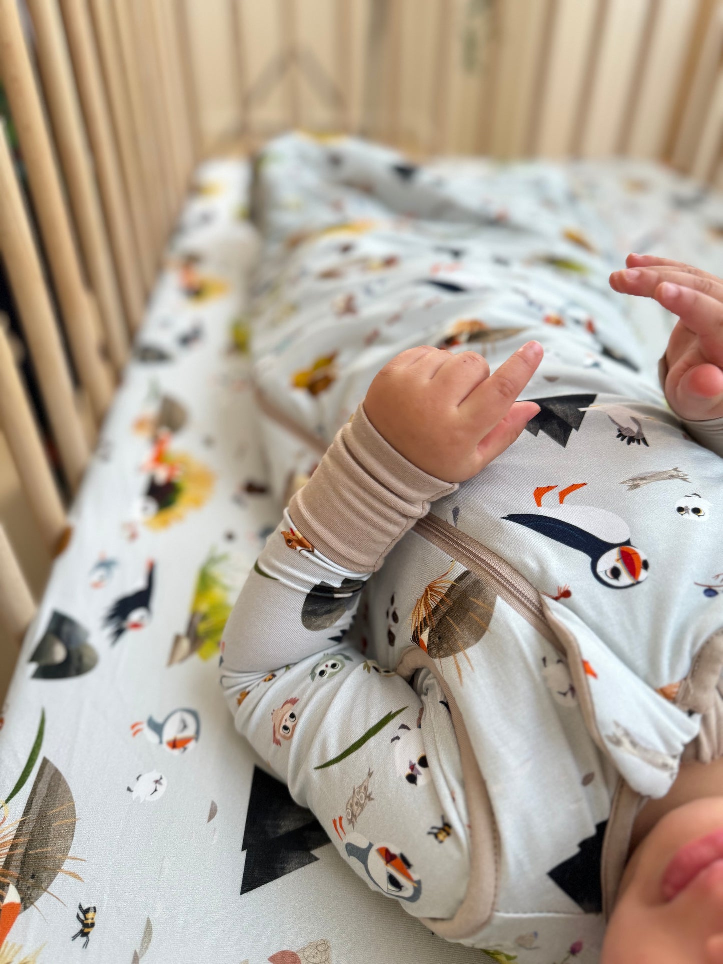Snuggly Figs™ X Puffin Rock™ - Meadow Friends - Bamboo Sleeping Bags